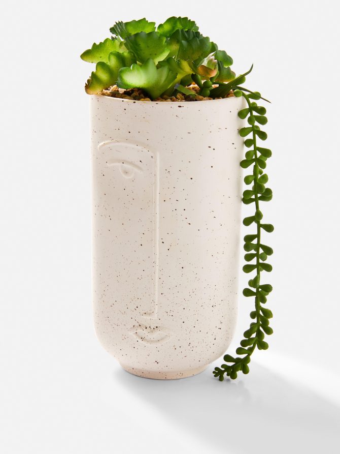 Faux Mixed Succulents Pot