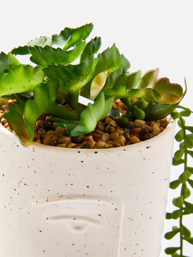 Faux Mixed Succulents Pot - Image 2