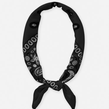 Paisley Bandana