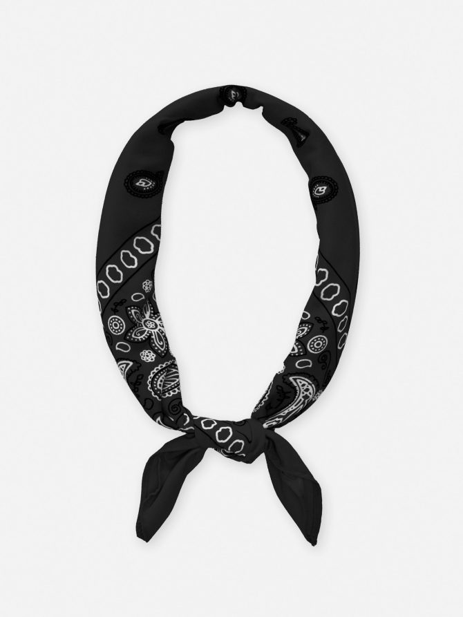 Paisley Bandana