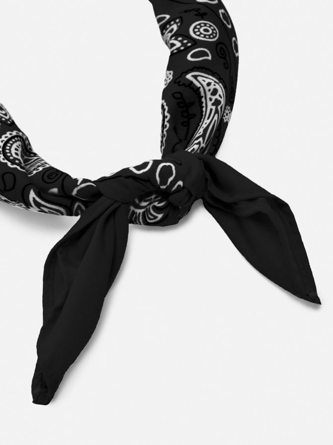 Paisley Bandana - Image 2