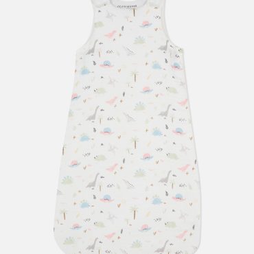 Dinosaur Print Sleep Bag