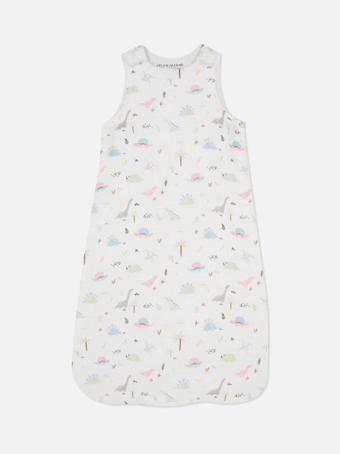 Dinosaur Print Sleep Bag