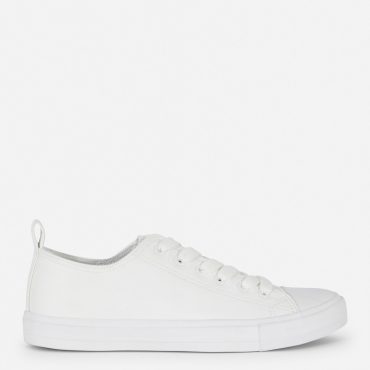 Classic Low Tops