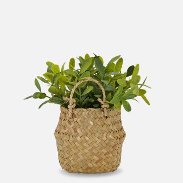 Faux Plants in Rattan Basket