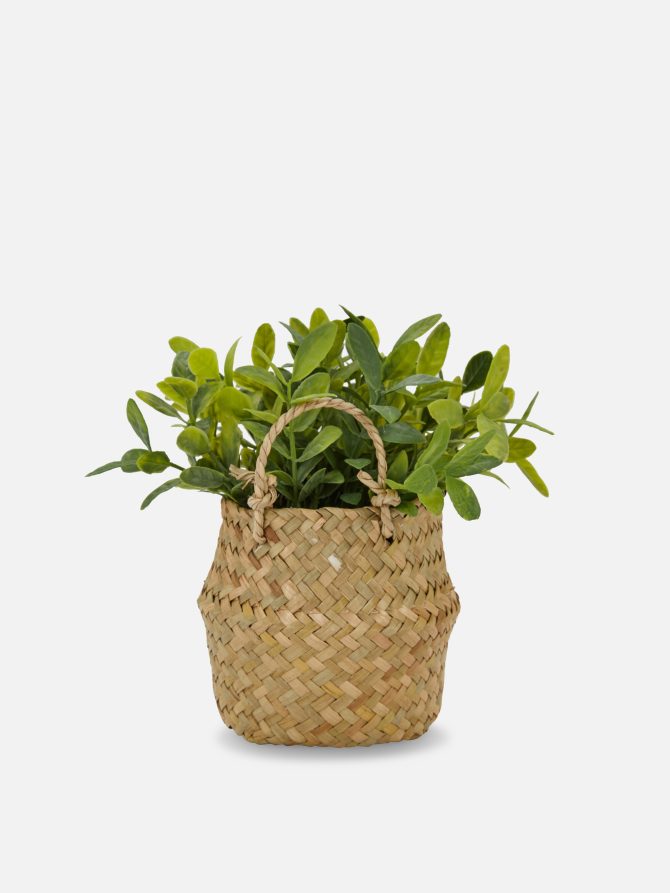 Faux Plants in Rattan Basket