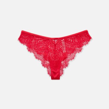 Lace Brazilian Briefs