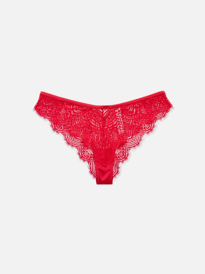 Lace Brazilian Briefs