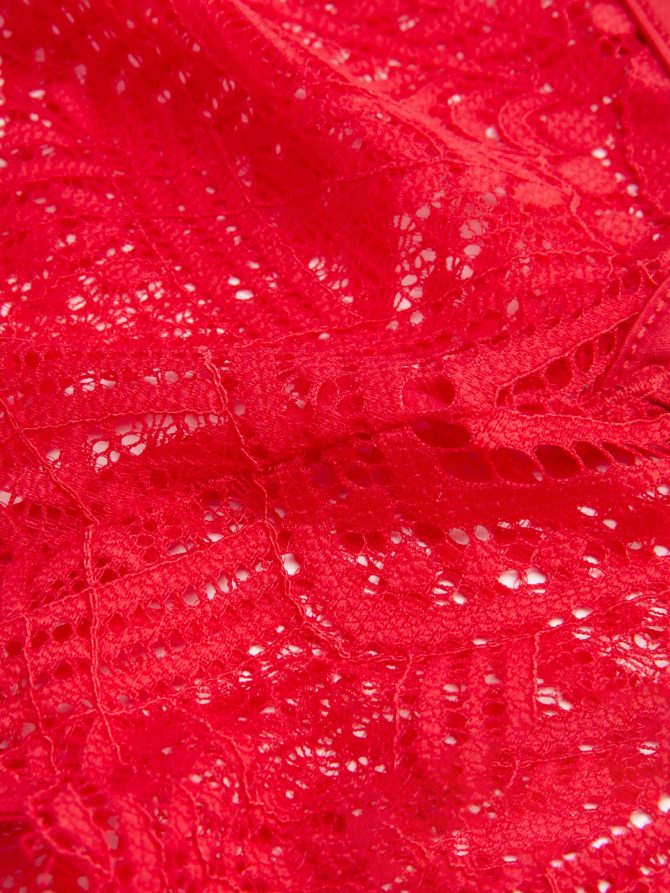 Lace Brazilian Briefs - Image 2