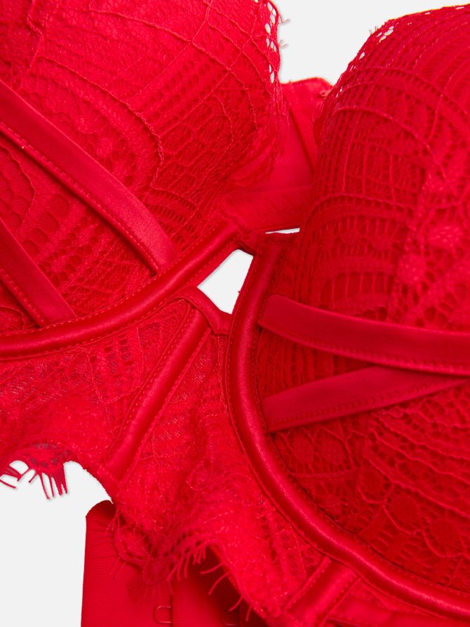 D-G Longline Lace Bra - Image 2