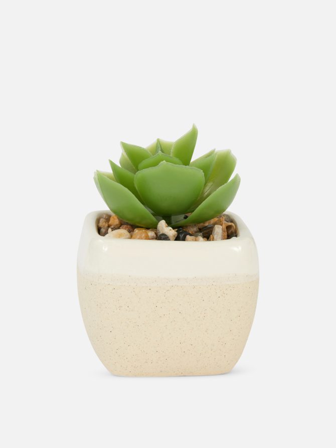 Mini Faux Succulent in Square Pot