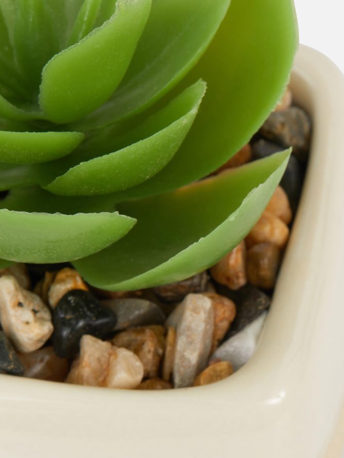 Mini Faux Succulent in Square Pot - Image 2