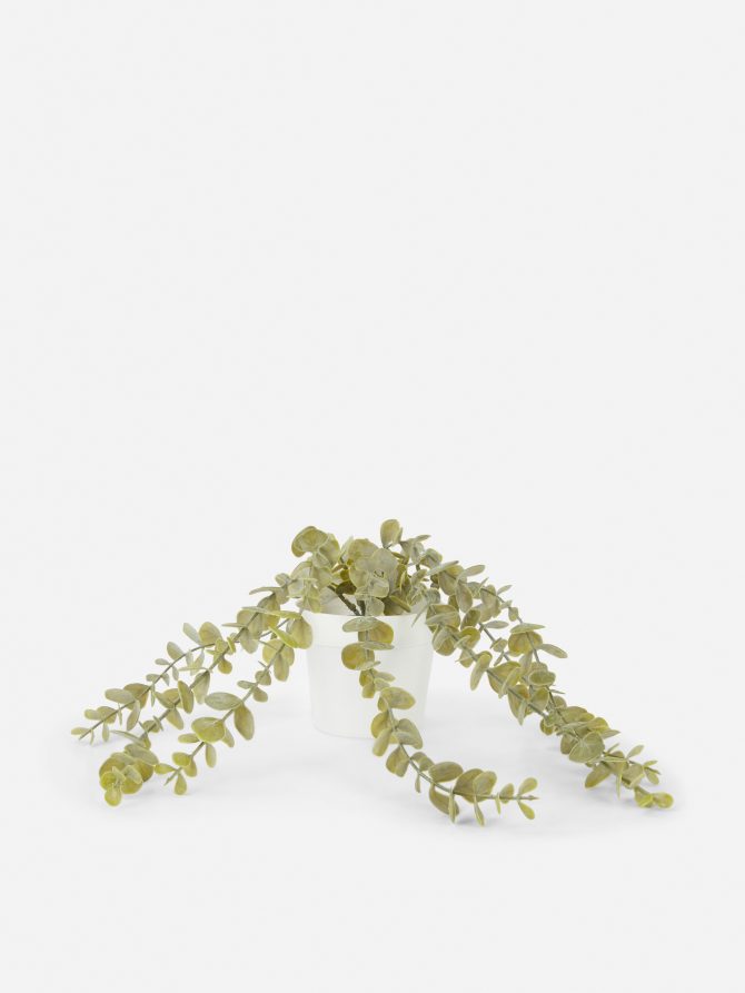 Faux Trailing House Plant in Pot