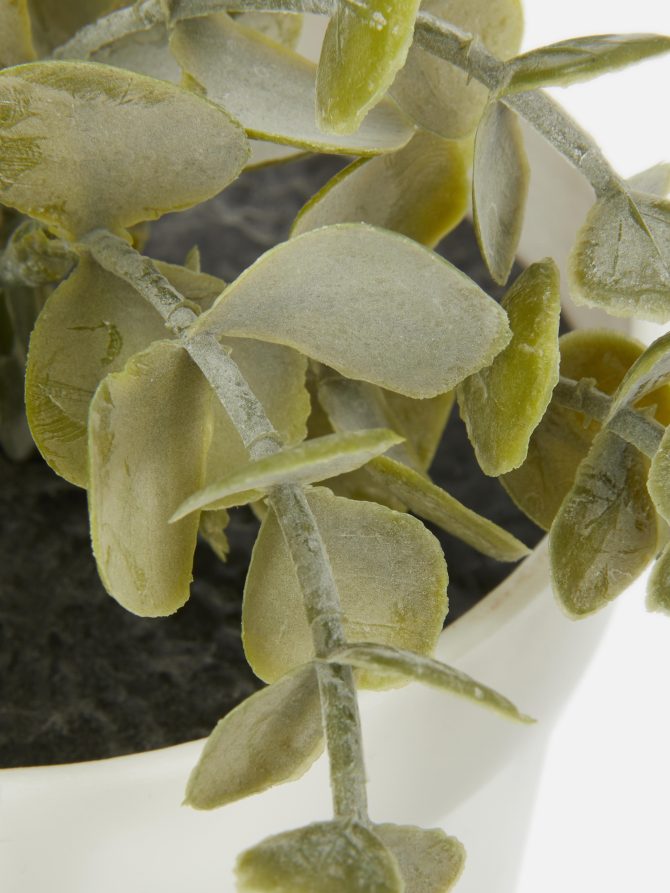 Faux Trailing House Plant in Pot - Image 2