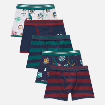5-Pack Academia Print Boxer Briefs
