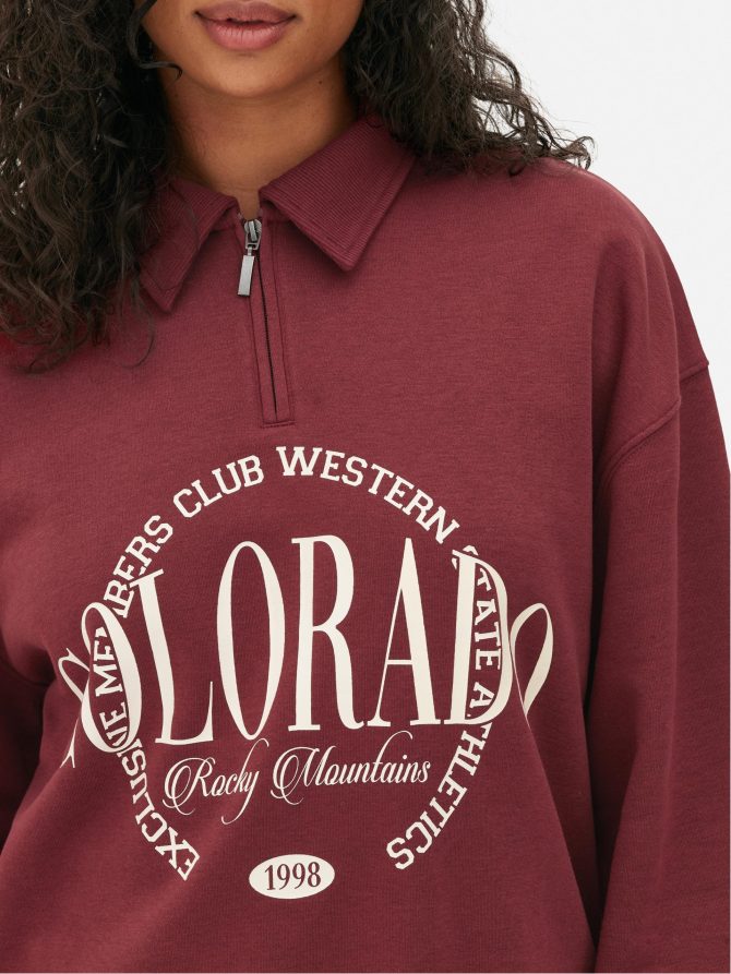 Embroidered Polo Sweatshirt - Image 3
