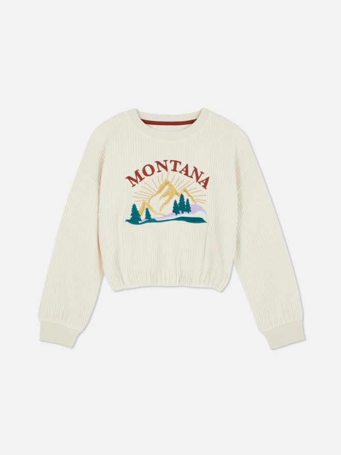 Velour Ribbed Sweatshirt - Image 3