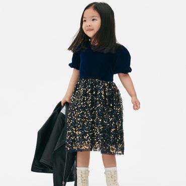 Sequin Velvet Dress
