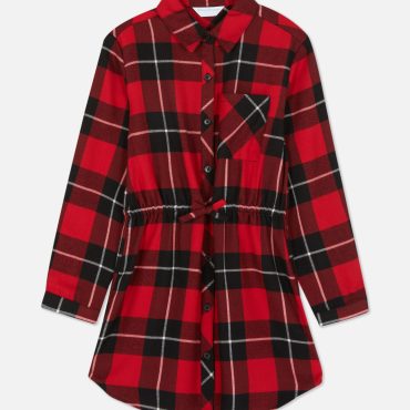 Check Tie Waist Shirt Dress