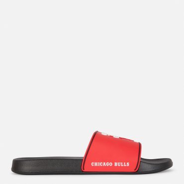NBA Chicago Bulls Pool Slides