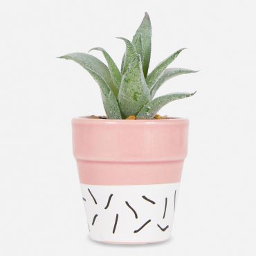 Faux Succulent in Colorful Pot