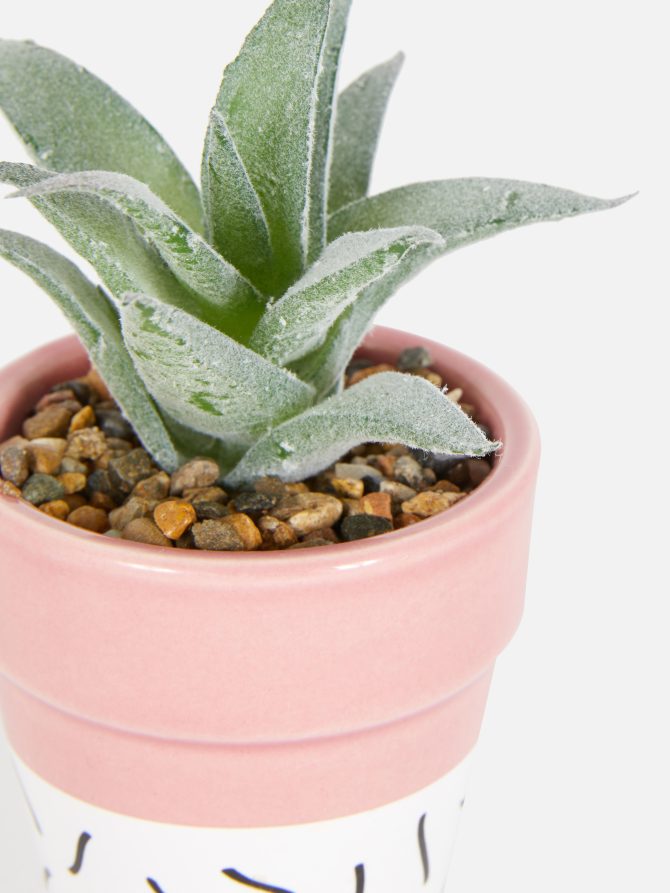 Faux Succulent in Colorful Pot - Image 2