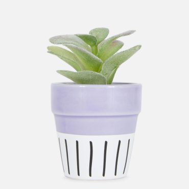 Faux Succulent in Colorful Pot