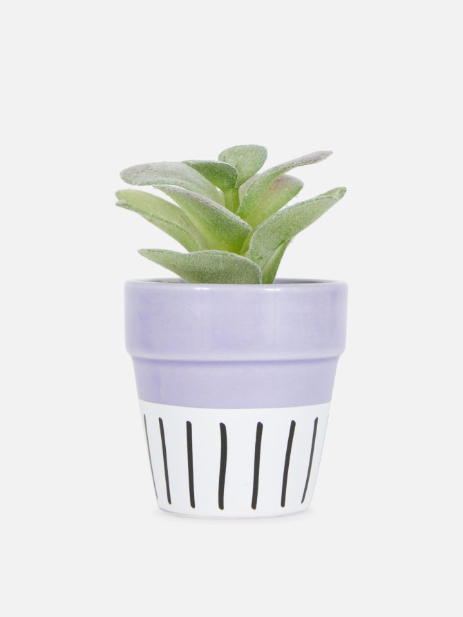 Faux Succulent in Colorful Pot