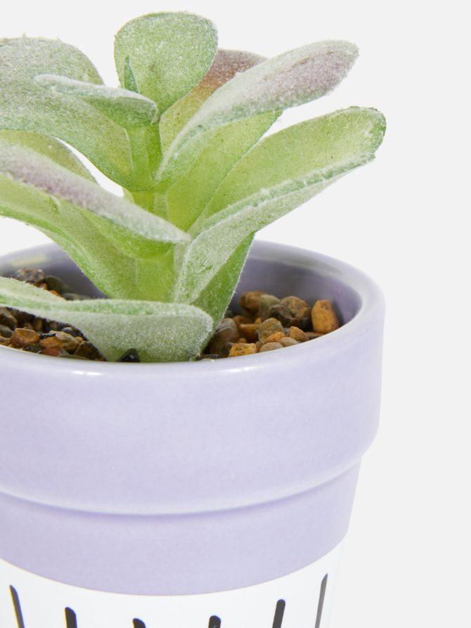 Faux Succulent in Colorful Pot - Image 2