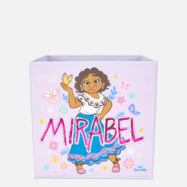 Disney’s Encanto Storage Cube