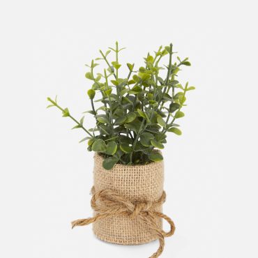 Faux Succulent in Jute Pot