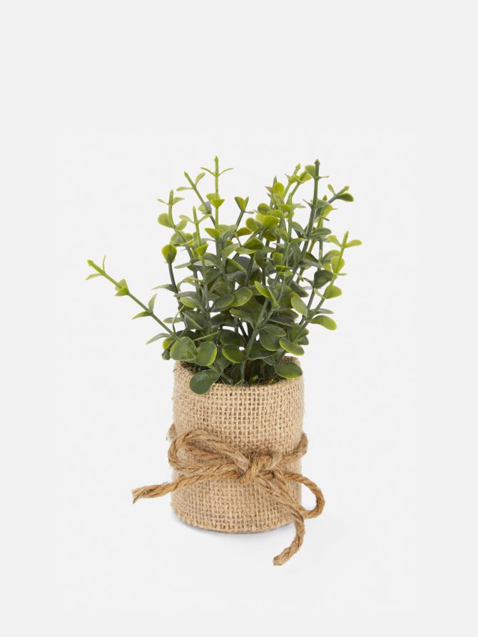 Faux Succulent in Jute Pot