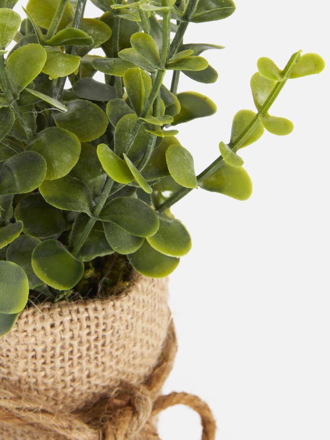 Faux Succulent in Jute Pot - Image 2