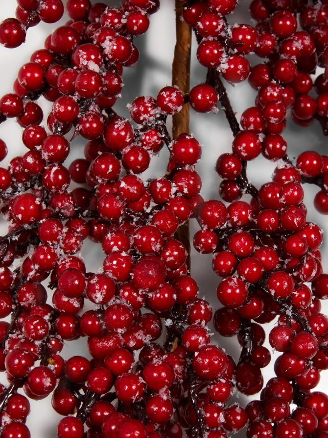 Berry Garland - Image 2
