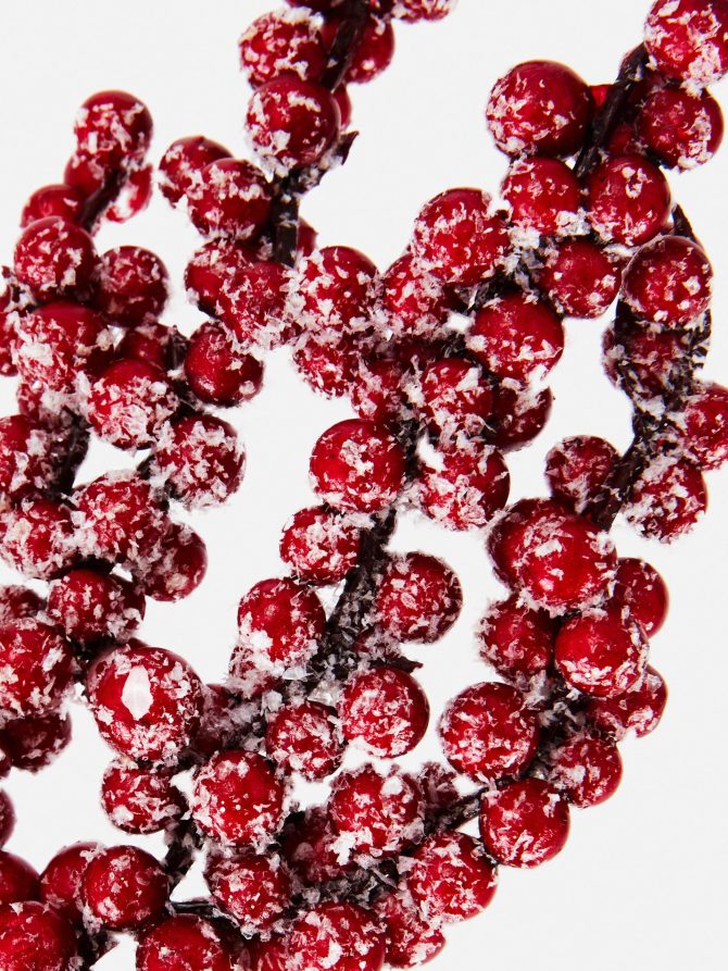 Single Frosted Berries Stem - Image 2
