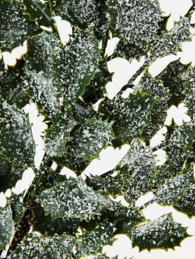 Single Stem Faux Frosted Holly - Image 2