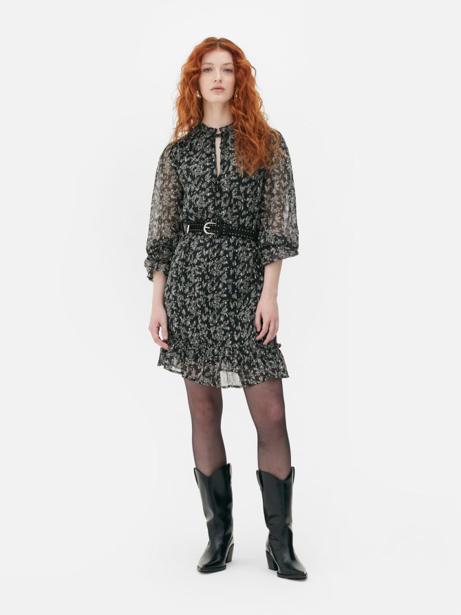 Chiffon Long Sleeve Mini Dress