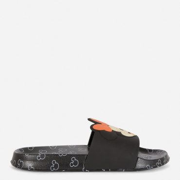 Disney’s Mickey Mouse and Minnie Mouse Pool Slides