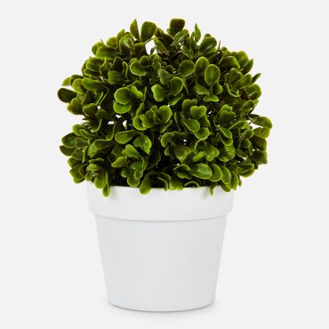 Faux Succulent In Pod