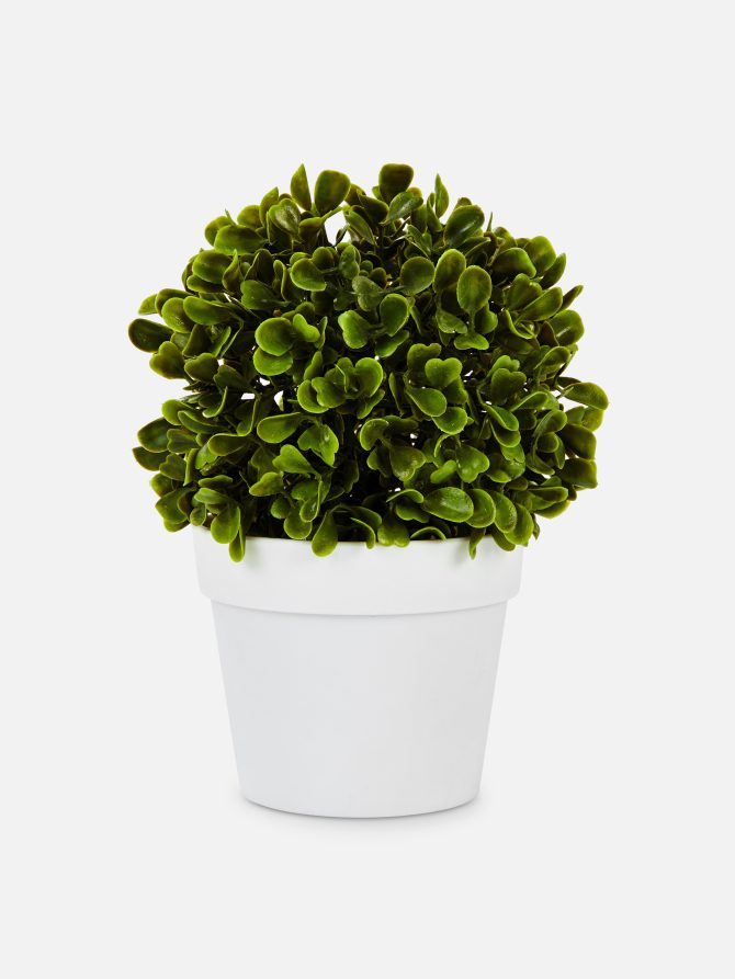 Faux Succulent In Pod