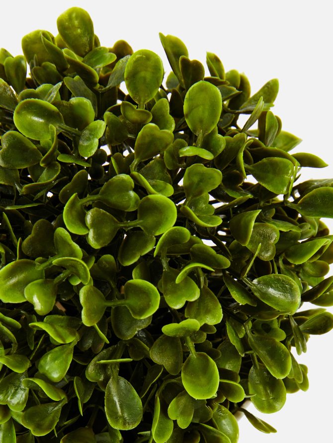 Faux Succulent In Pod - Image 2