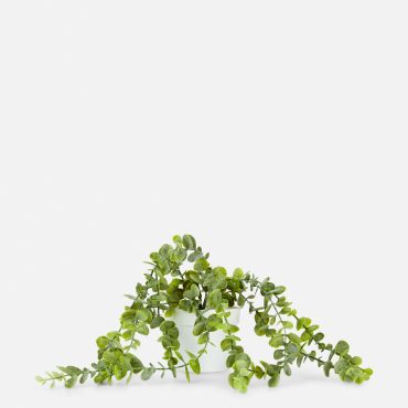 Faux Trailing Plant in Pot