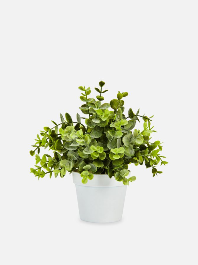 Small Faux Eucalyptus Plant