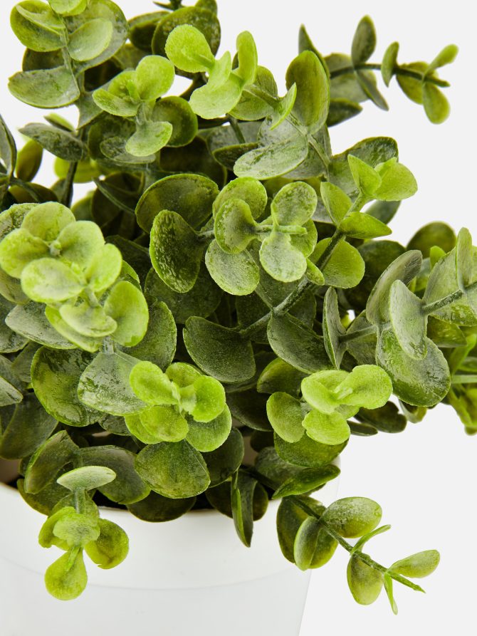 Small Faux Eucalyptus Plant - Image 2